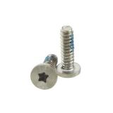 10 VITI TORX PER APPLE IPHONE 4G / IPHONE4S